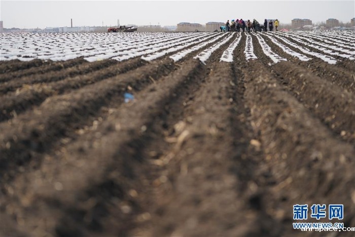 (在习近平新时代中国特色社会主义思想指引下——新时代新作为新篇章·习近平总书记关切事·图文互动)(3)让每一寸耕地都成为丰收的沃土——我国加强耕地保护推进“藏粮于地”