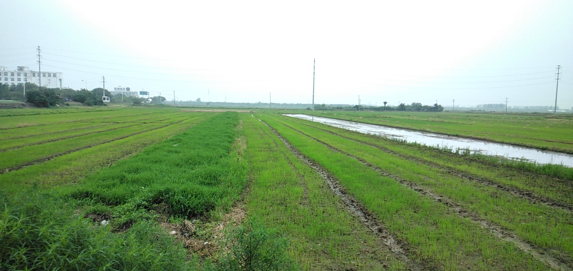 微信图片_20200622124259 微信图片_20200622124259